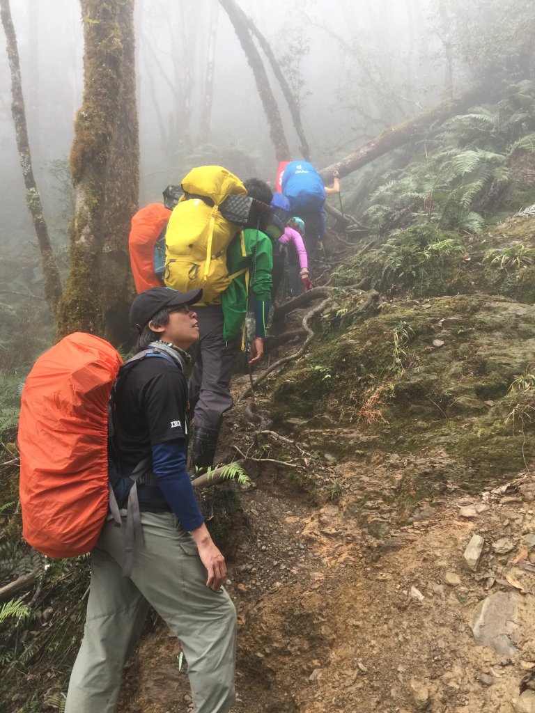 散落的珍珠-加羅湖_565234