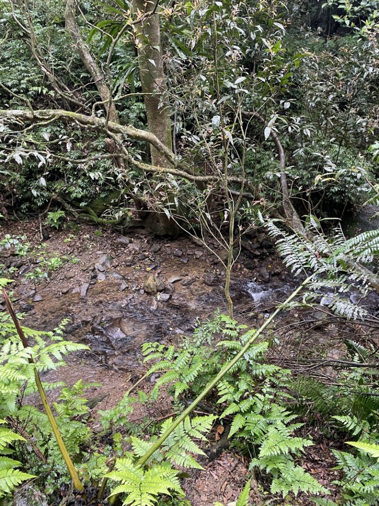 汐止-石碇_2761556