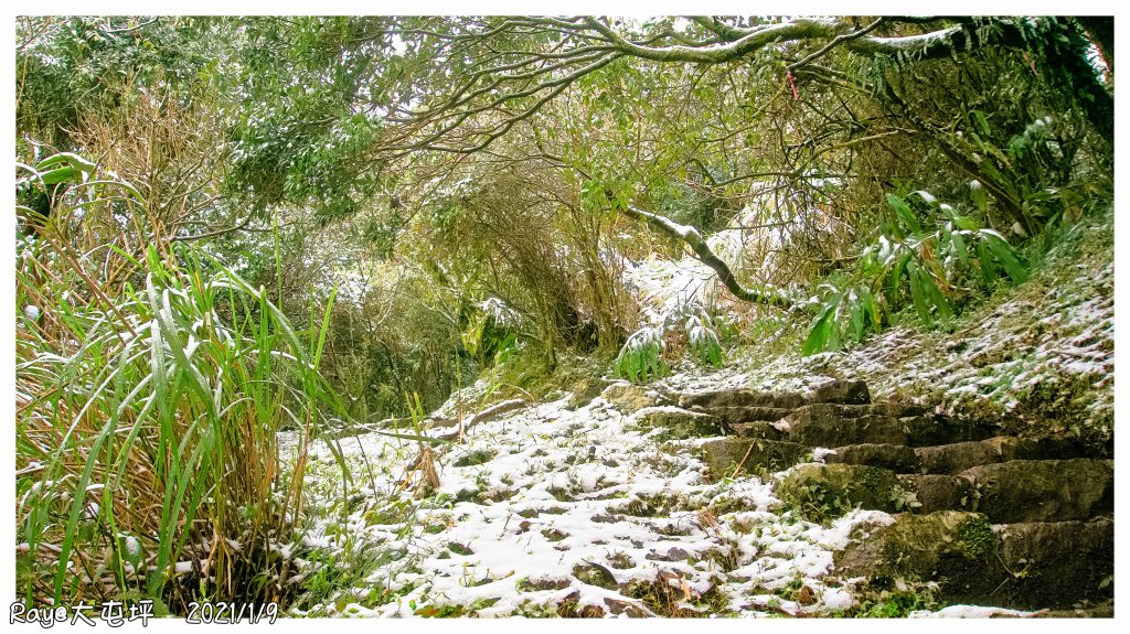 2021 大屯山之雪_1234770