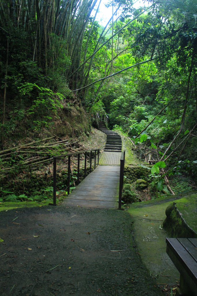 雲林．林內龍過脈森林步道2023/07/22_2237653