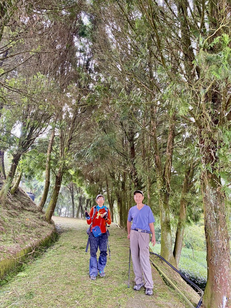 南投埔里郊山--西關刀山（南峰、東南峰、東南南峰、東南東峰）、內楓仔林山、豐林口山、南東眼山（南峰）_1494733