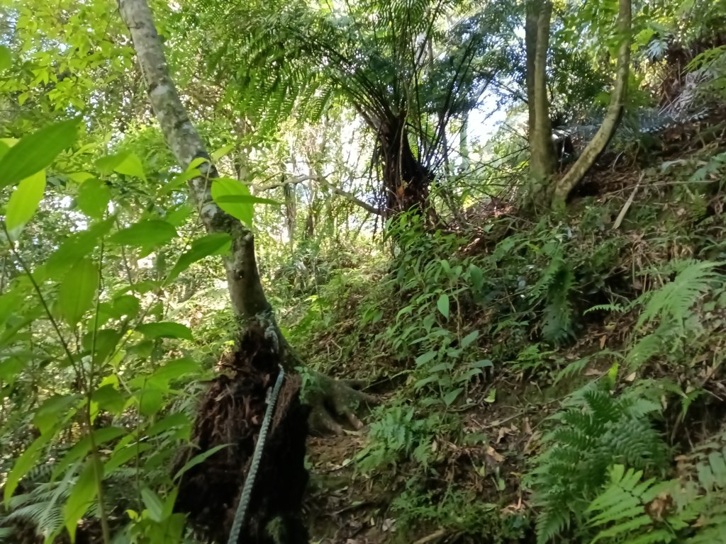 平溪區灰窯山驚險岩稜+司公碗帽山O型_2897932