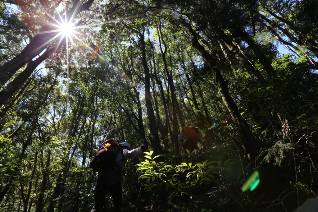 水樣森林 第一次在山裡過夜_659276