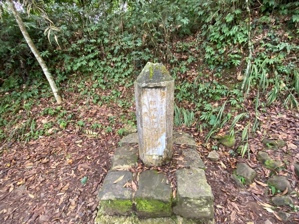 037苗栗泰安-馬那邦山_2604683