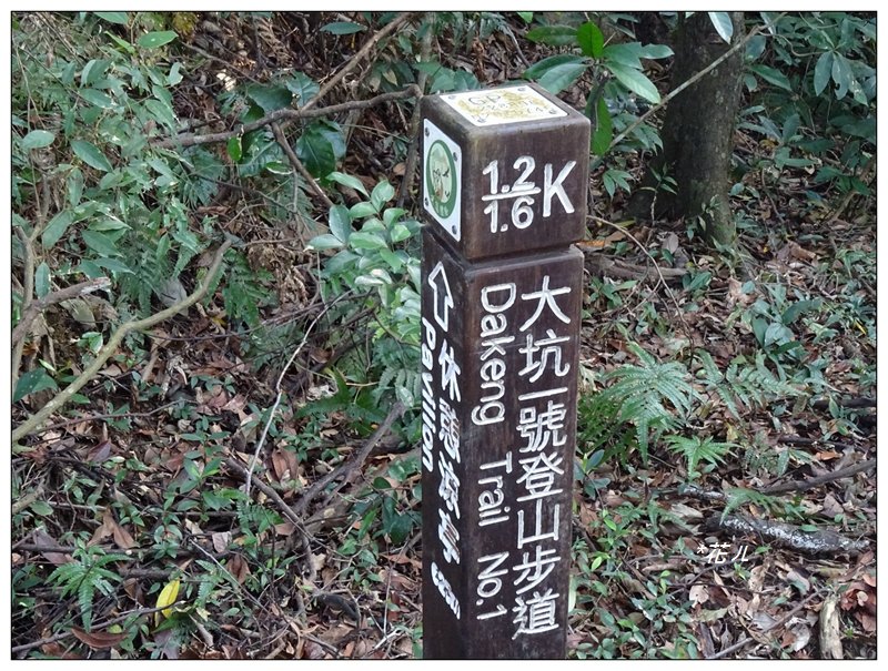 台中/大坑1號步道(2)_881235