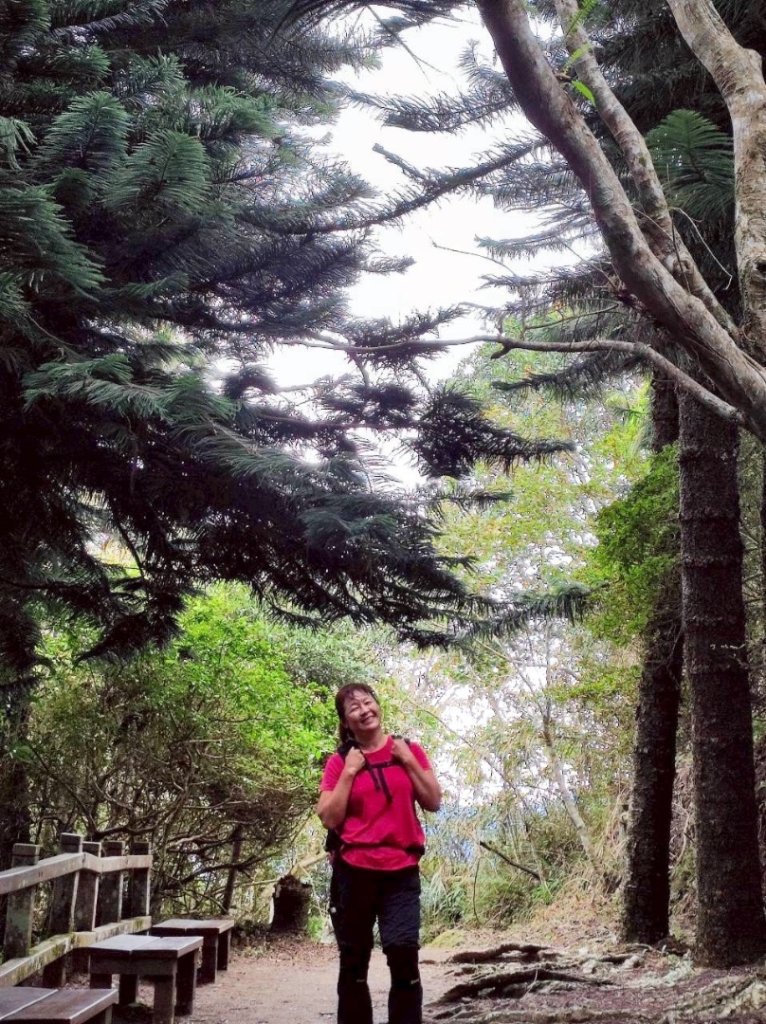 馬那邦山（珠湖登山口）_2933932