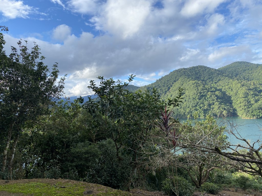 鱷魚島_1929841