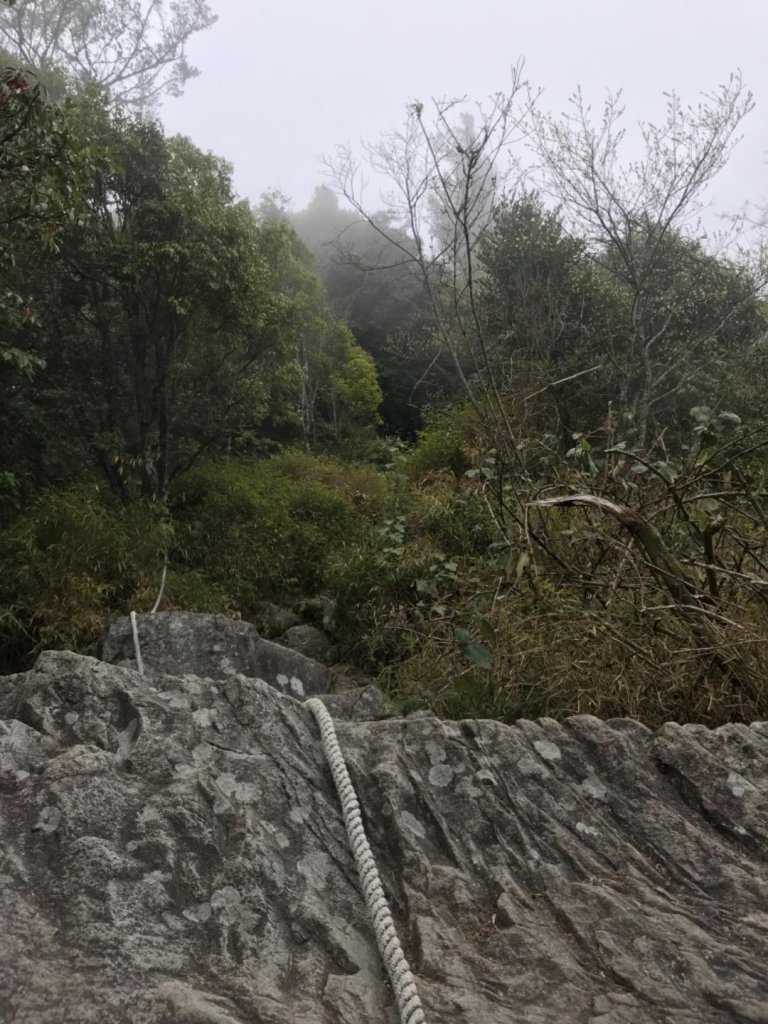 台中名產鳶嘴山稍來封面圖