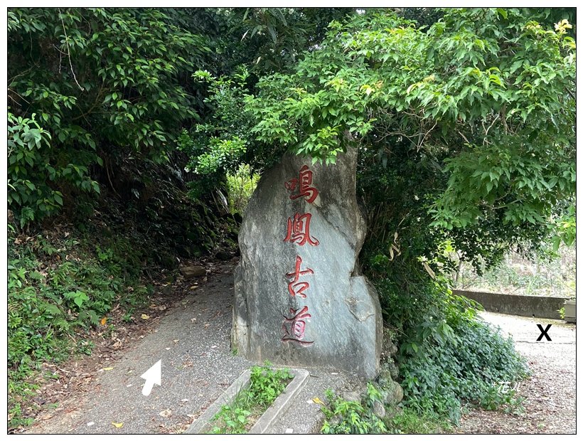 鳴鳳古道(苗栗/獅潭)封面圖