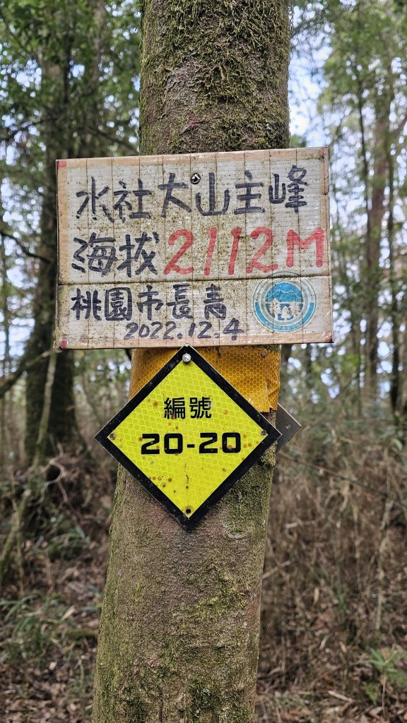 【中級山經典：水社大山、水社主峰】🥾4小時53分的征途，汗水與意志的考驗。_2982572