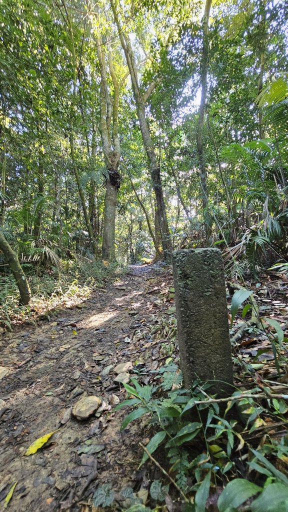 【尾寮山靜修日：一人一山，一念清明，山無語，我自省】🌿_2937942
