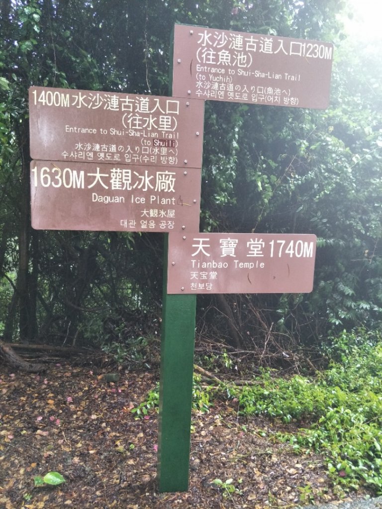 二坪山(水沙連步道)_1429279