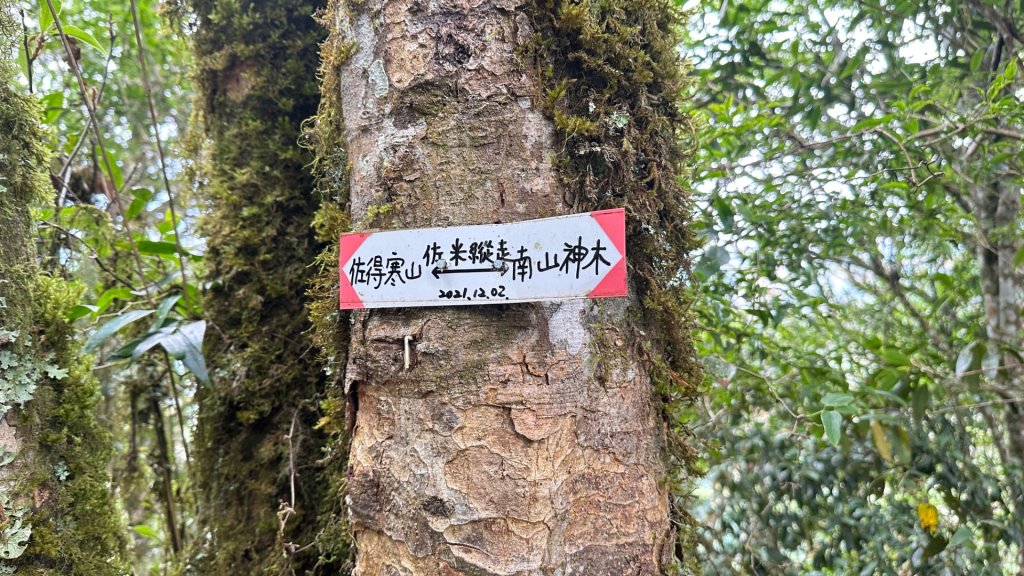 佐米縱走_2873423