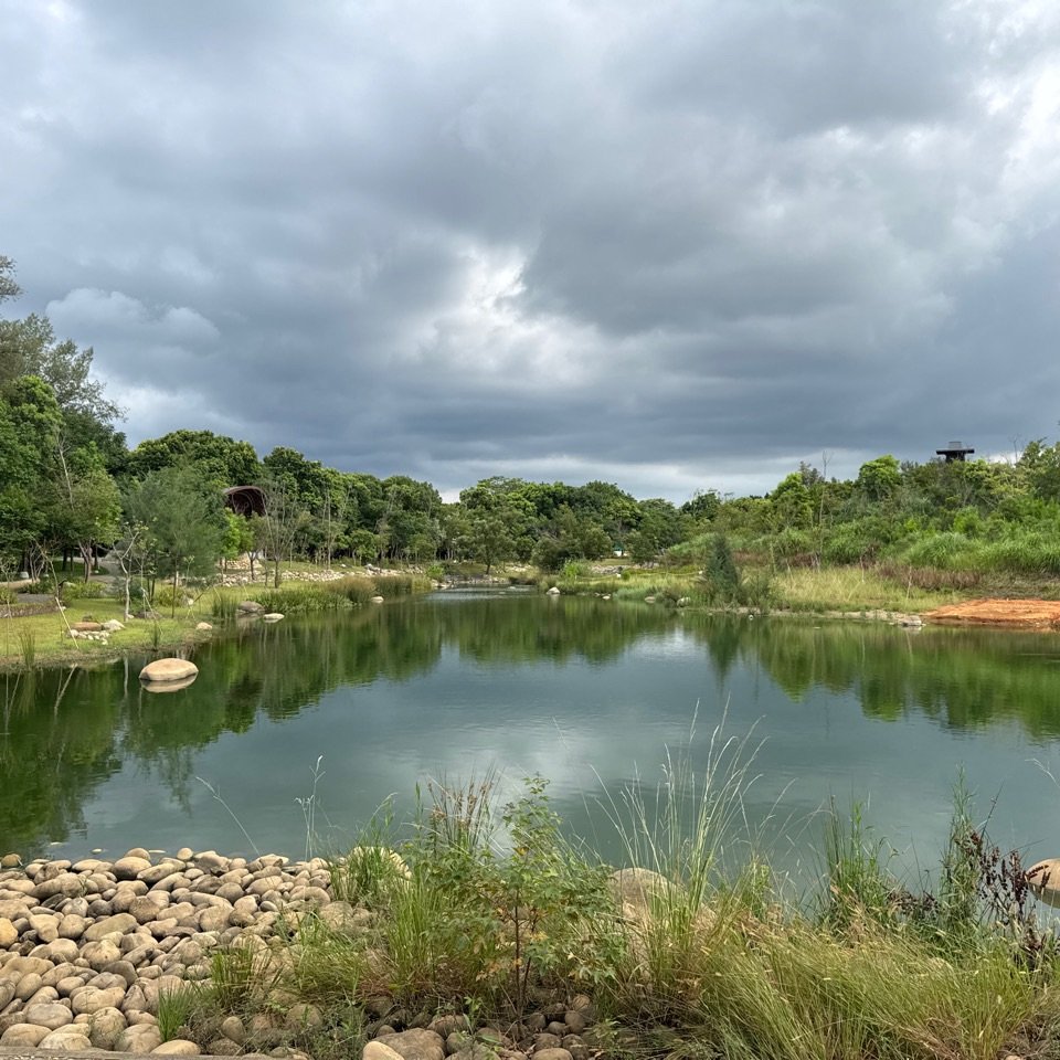 霄裡好風光運動樂悠遊封面圖