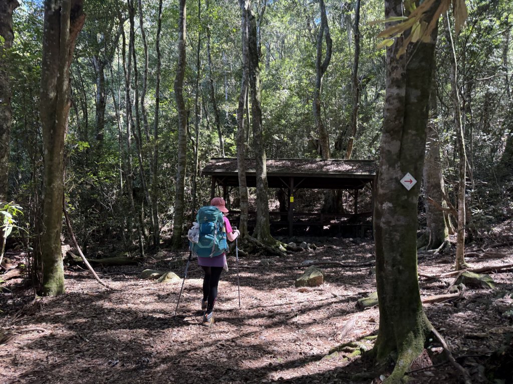 馬崙山 20250906_2889335