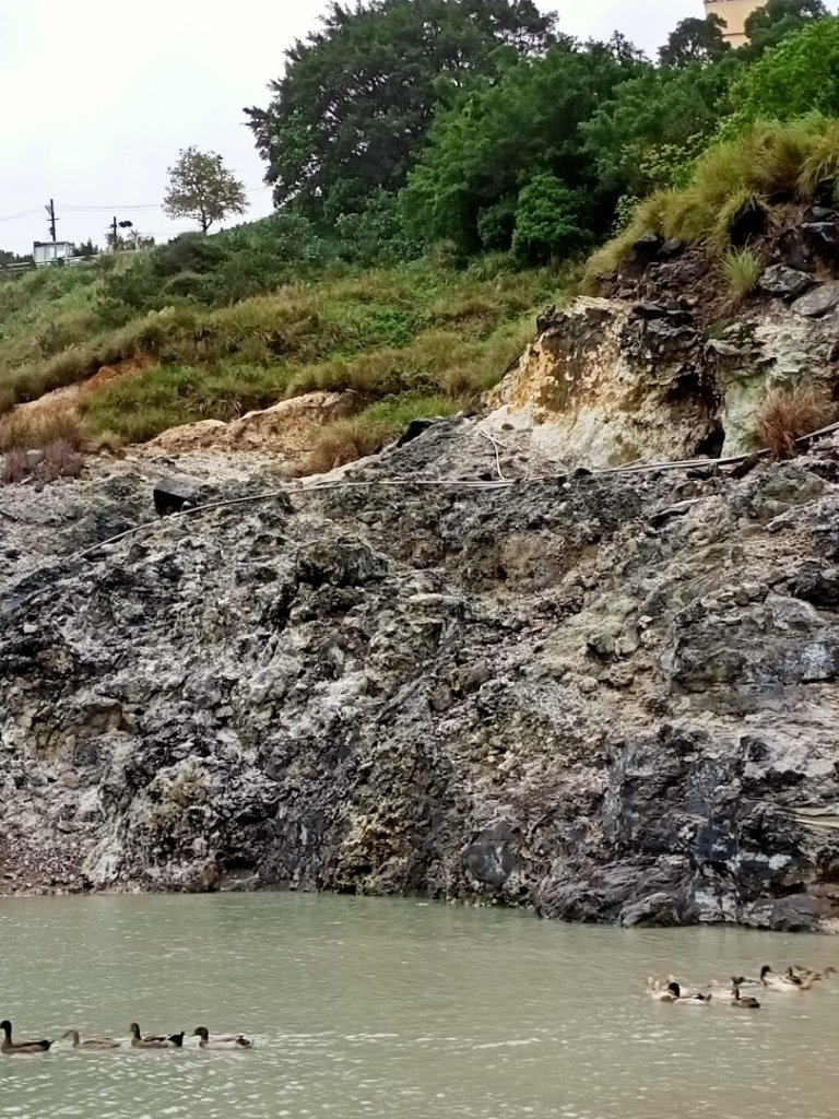 《遊龍戲鳳龍鳳谷》_1138840