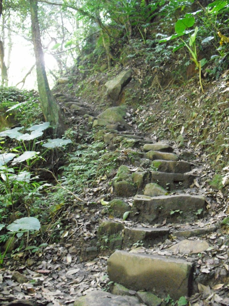 2011.10.24青山瀑布+尖山湖步道之旅_1410919