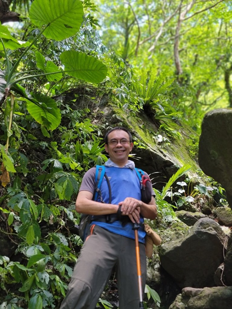 鹿角坑楓林瀑布-20240728_2601330