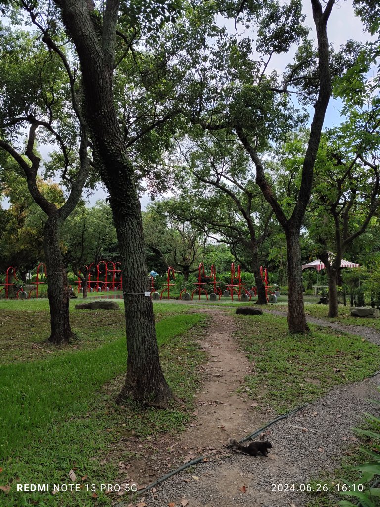 大安森林公園【走路趣尋寶】【臺北健走趣】_2536267
