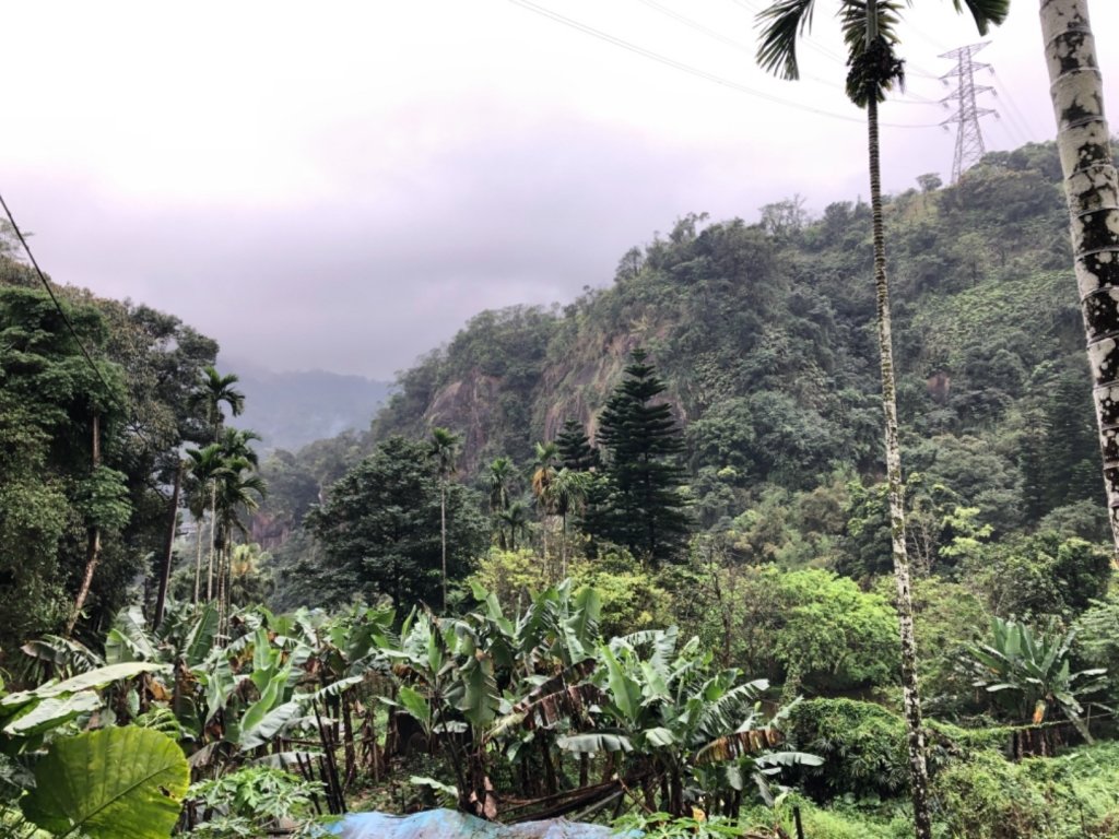 南港山縱走（中華科大登山口—象山）封面圖