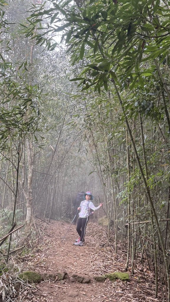 20260101小百岳馬那邦山賞楓團_2973942
