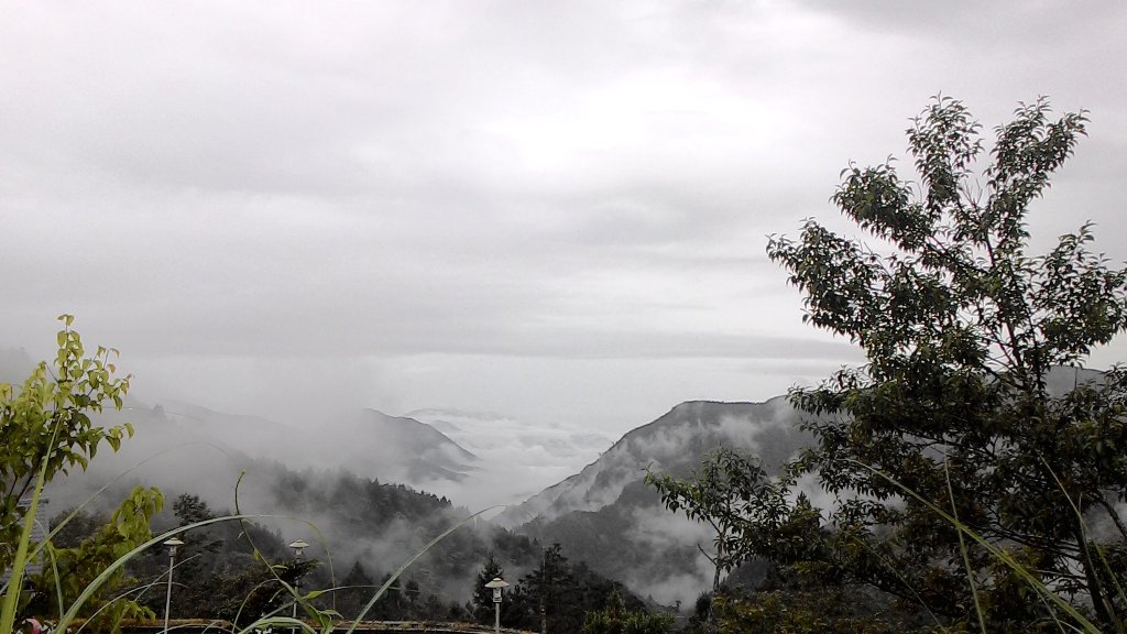 雲霧漫步山林之間~太平山_466884