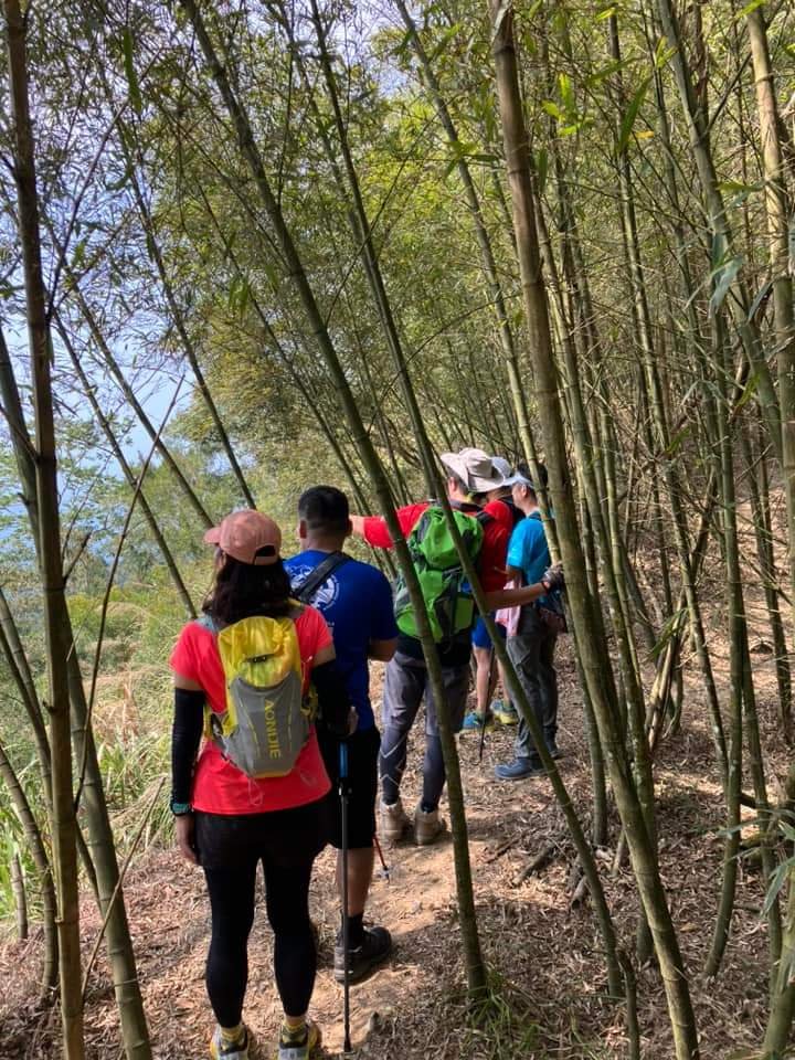 20240317十分速C團爬山趣_2457023