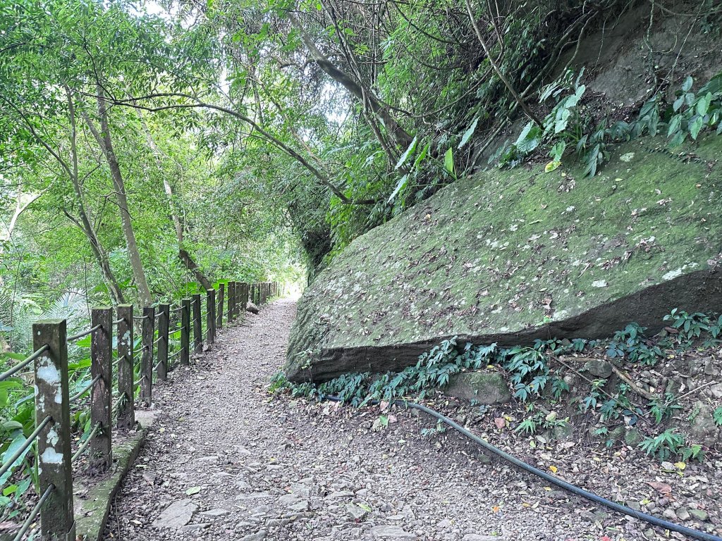 南坪古道順走馬胎古道_2598443