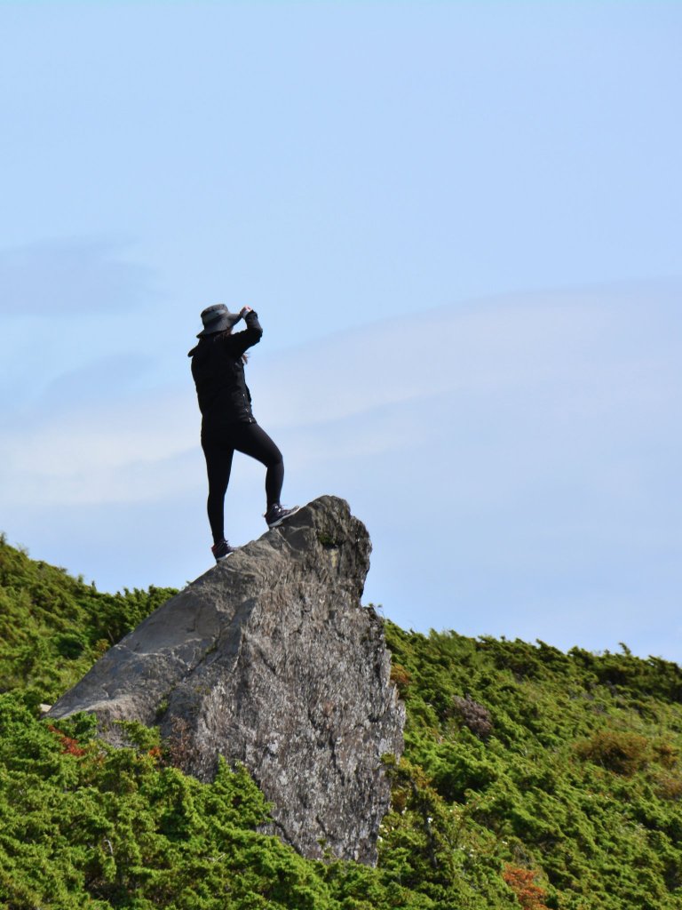 合歡山群峰_1775602