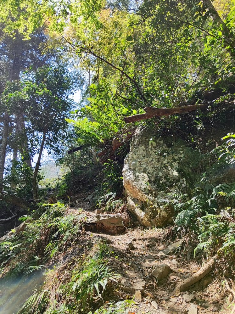 八仙佳保封面圖