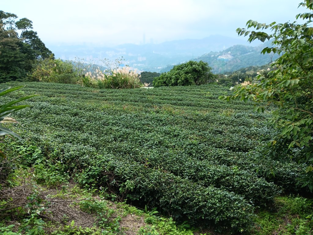 微笑山線二格山系銀河洞越嶺段_2986159