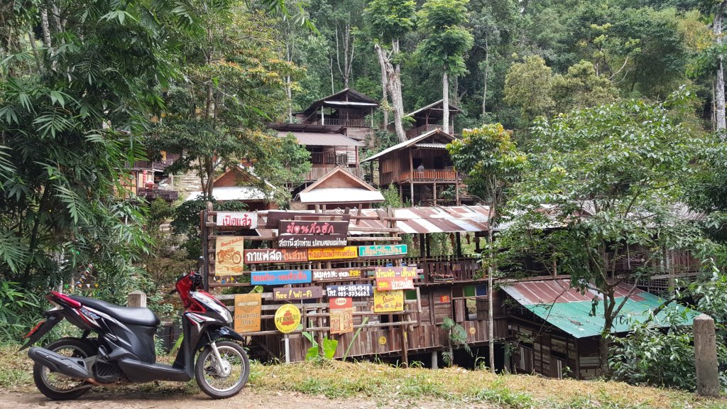 清邁：Huai Kaeo、大樹咖啡_2486948