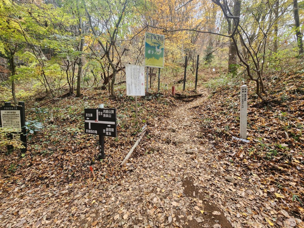 20251125登月居山遊袋田瀑布順遊舊上岡小學校_2958370