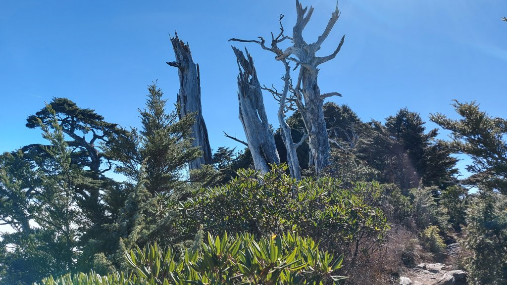 一日北大武單攻_1537784