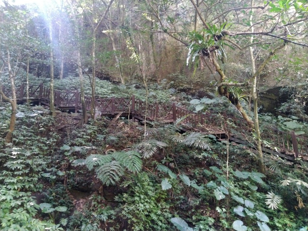 1100110獅山古道群6步道連走_1233866