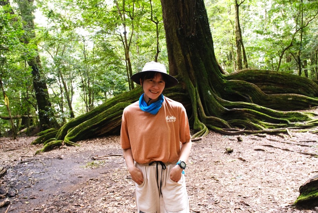 雪見大板根_2924687