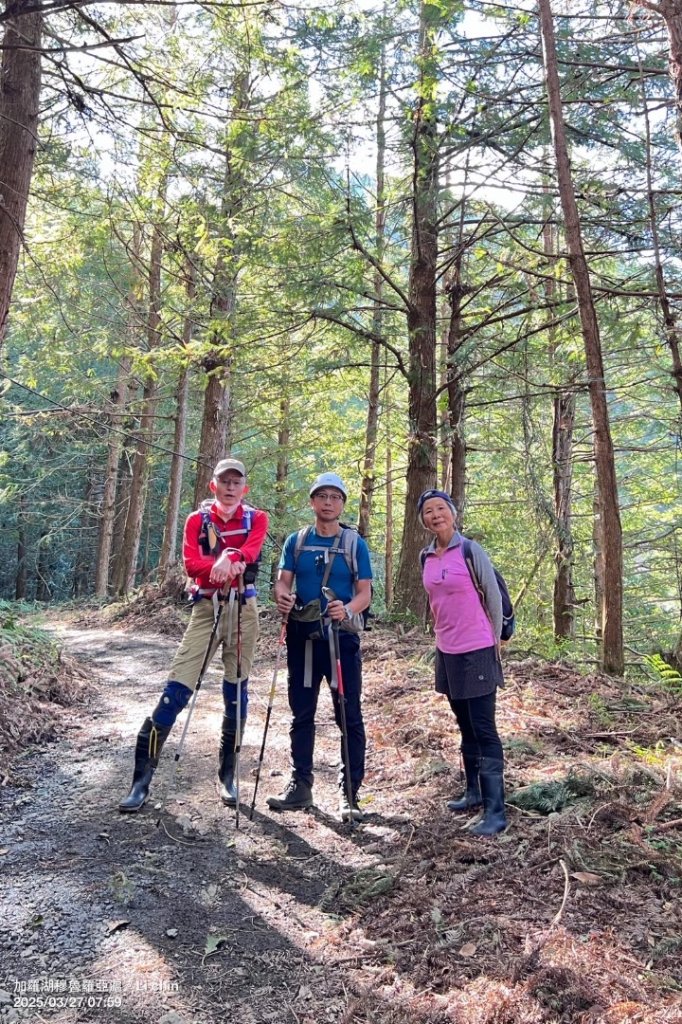 大同加羅湖穆魯洛亞滬庫霞四季警備道_2748284