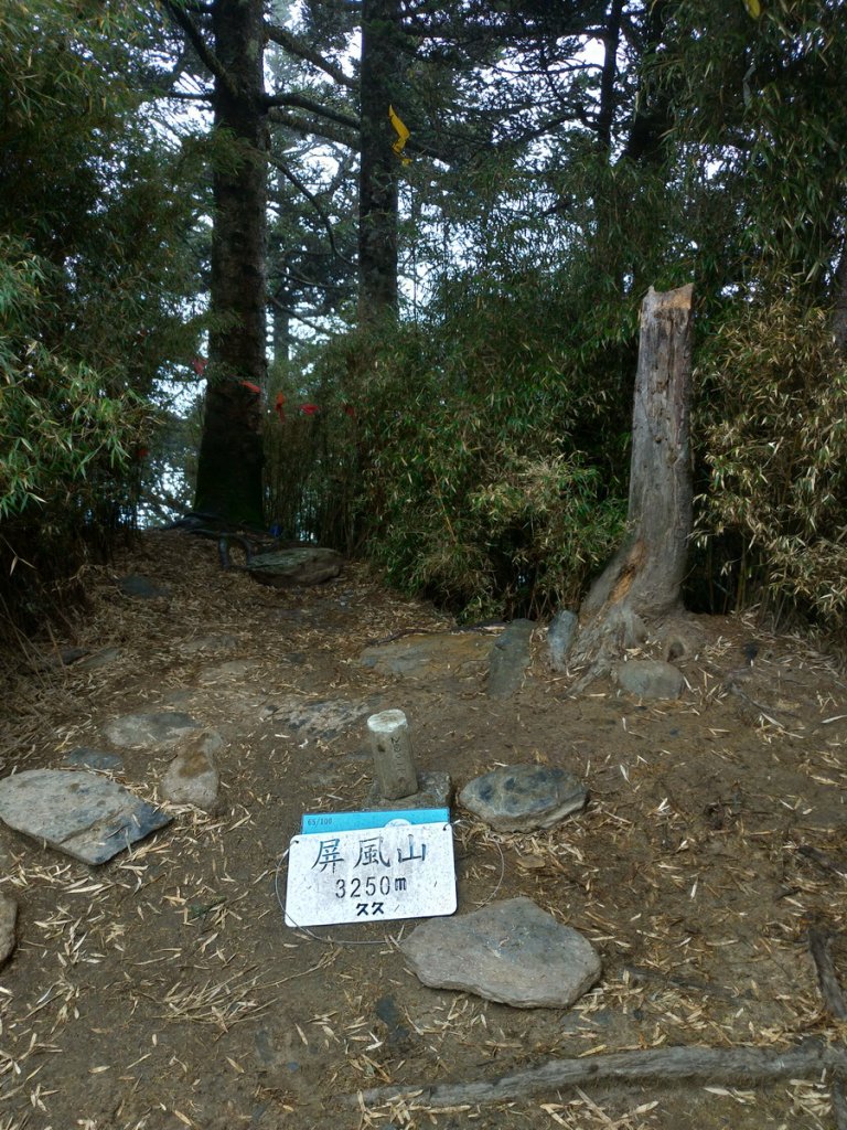 【花蓮縣秀林鄉】屏風山(單攻)_1231967