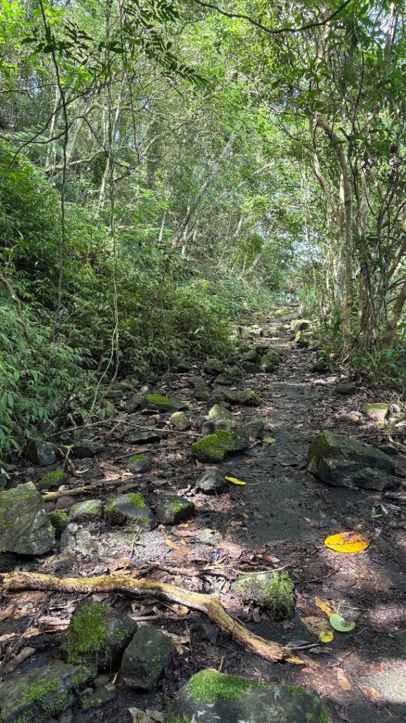 三腳南山_2799534