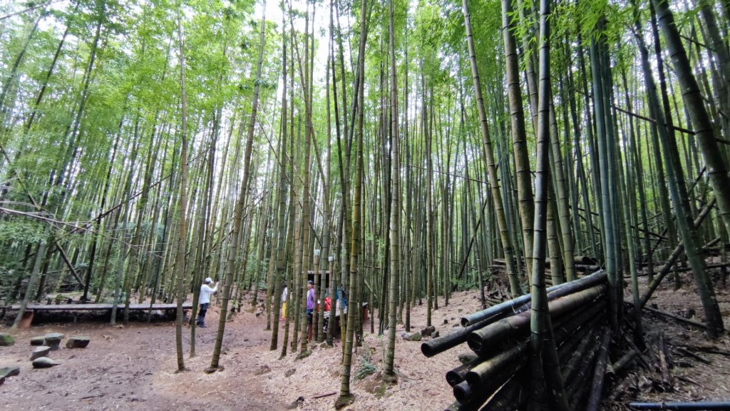 長壽山（肥崠山）鎮山之羊與飛鷹_1455185
