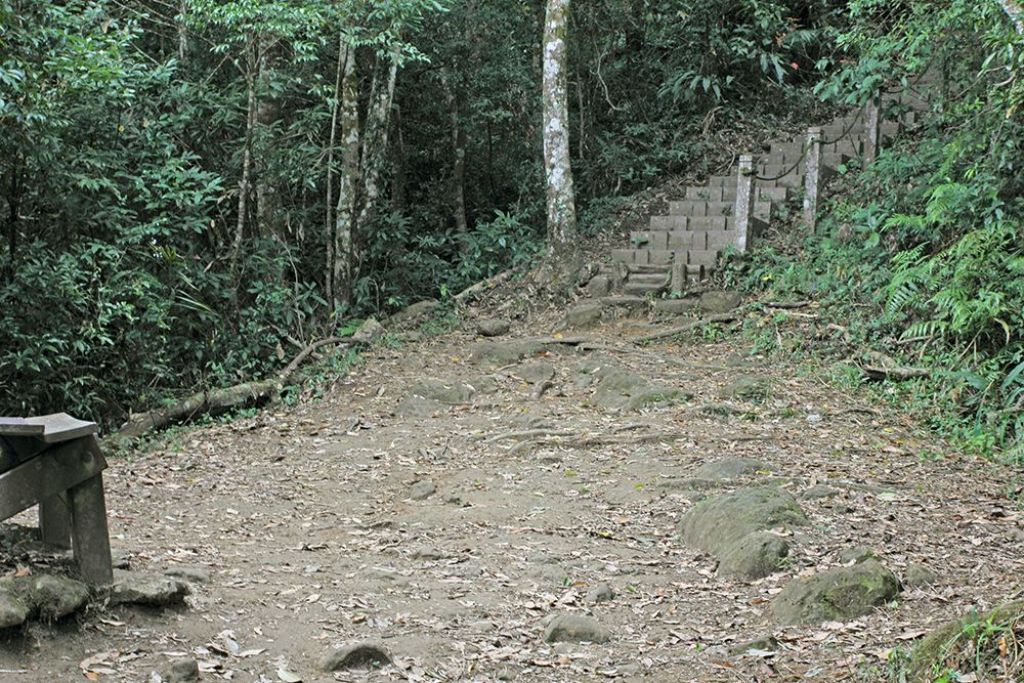 馬那邦山(珠湖線來回)_375047