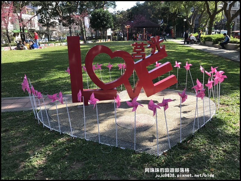 桃園。中壢莒光公園八重櫻熱烈綻放中_856097