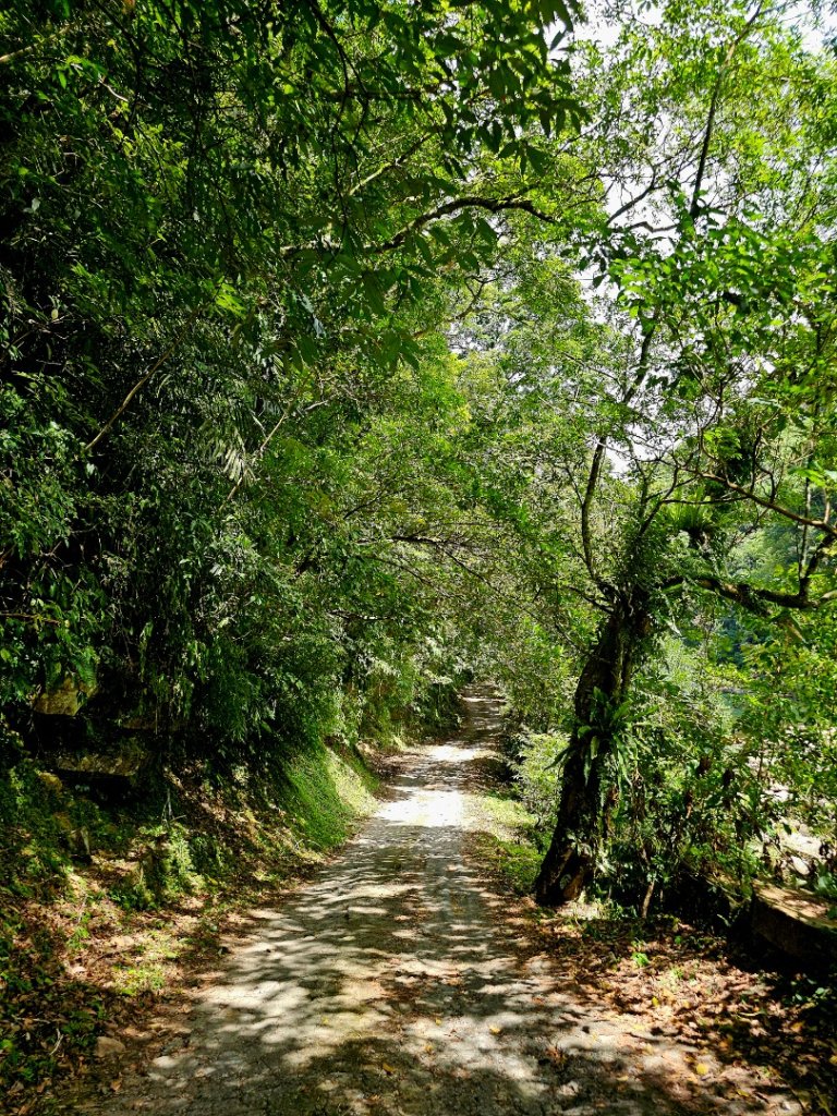 闊瀨古道/三水潭(淡蘭中路)-新北市坪林區_2873805