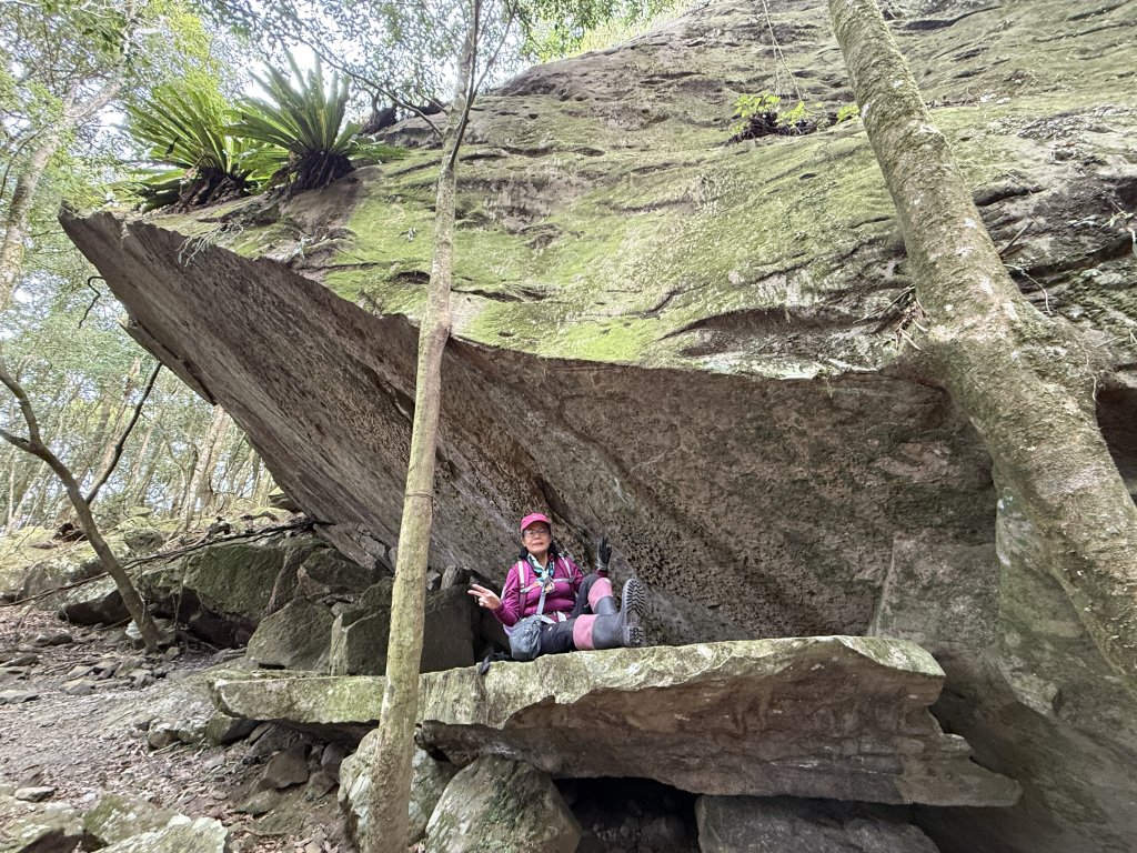 大坪祕境的奇岩封面圖