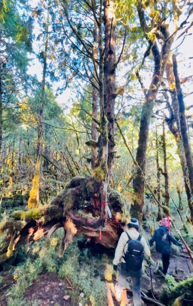 走入魔幻森林 探訪三星池與妹池_2952326