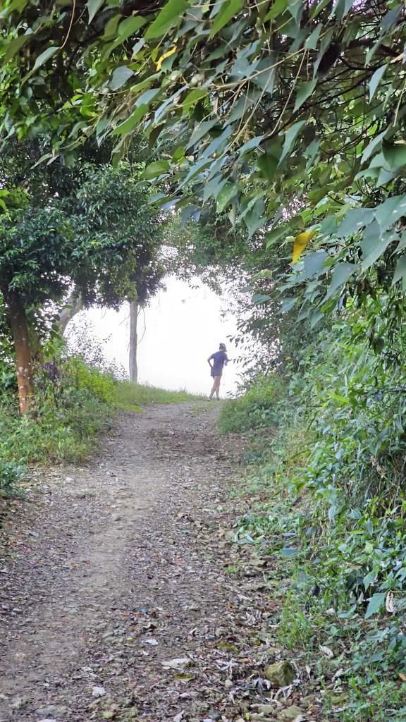 【尾寮山靜修日：一人一山，一念清明，山無語，我自省】🌿_2937936