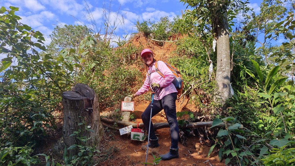 (姨婆趴趴走)第四十五集:新竹竹東三山（新具庄山、樹杞林山、員崠子山）環狀縱走_2662246