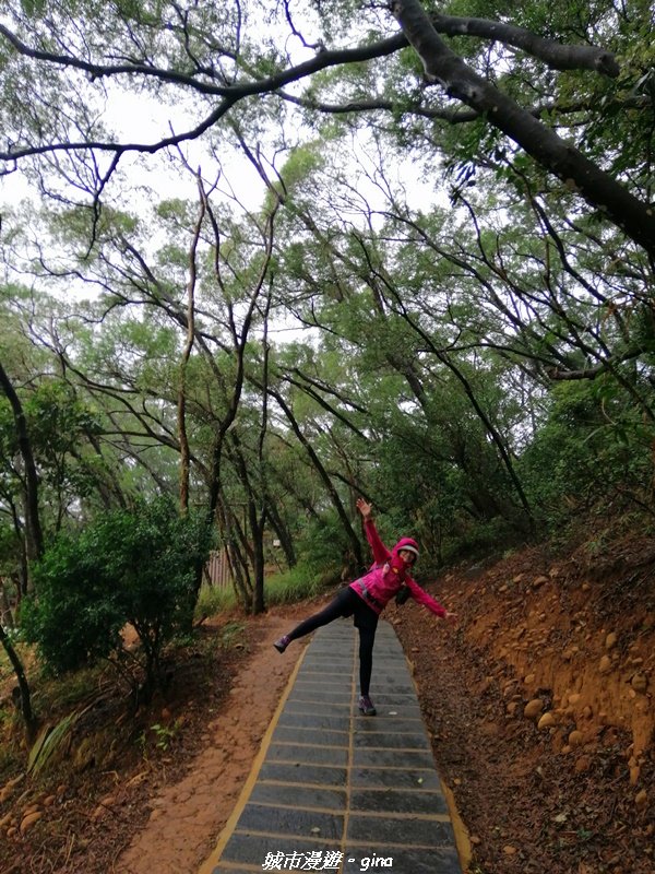 新竹~台灣百大必訪步道~鳳崎落日登山步道_1231739