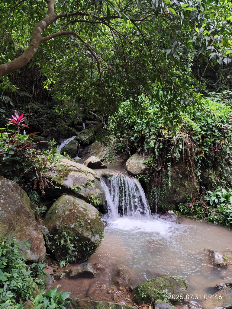 大湖公園→大溝溪生態治水園區→圓覺寺步道→圓覺瀑布→圓覺寺→鯉魚山步道【臺北大縱走 4、臺北健走趣】_2849097