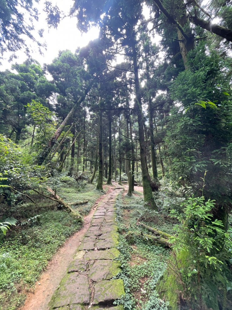 臺北大縱走第三段 小油坑服務站－風櫃口 0530_1807009